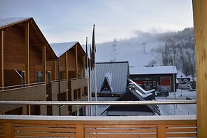 Levi Suites Levi Gold