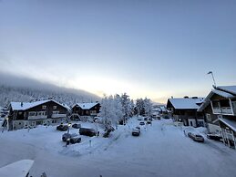 Levi Suites Levi Gold