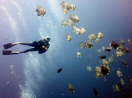 Luxury Sea and Sunset View 4BR 4BA Pool Villa