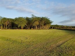 Africa Safari Lake Manyara