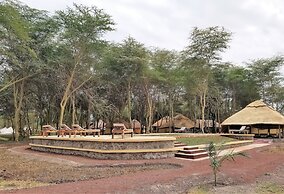 Africa Safari Lake Manyara