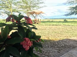 Africa Safari Lake Manyara