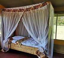 Africa Safari Lake Manyara