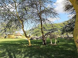 Africa Safari Lake Manyara