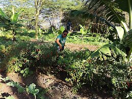 Africa Safari Lake Manyara