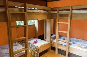 Africa Safari Lake Manyara