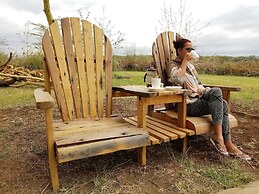 Africa Safari Lake Manyara