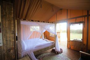 Africa Safari Lake Manyara