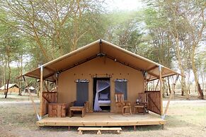 Africa Safari Lake Manyara