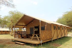 Africa Safari Lake Manyara