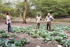 Africa Safari Lake Manyara