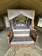 Africa Safari Lake Manyara