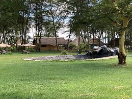 Africa Safari Lake Manyara