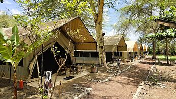 Africa Safari Lake Manyara