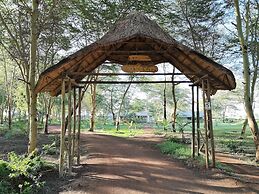 Africa Safari Lake Manyara