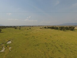 Africa Safari Lake Manyara