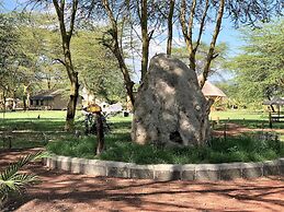 Africa Safari Lake Manyara