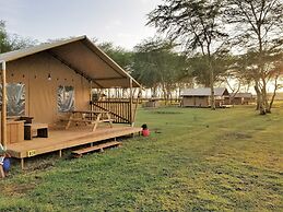 Africa Safari Lake Manyara