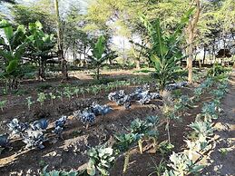 Africa Safari Lake Manyara