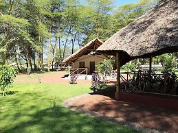 Africa Safari Lake Manyara