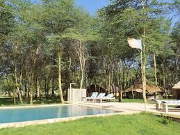 Africa Safari Lake Manyara