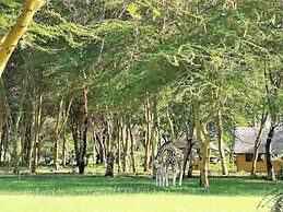 Africa Safari Lake Manyara