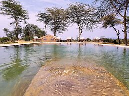 Africa Safari Lake Manyara