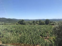 Domaine de la Tuilière