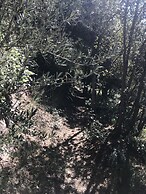 Domaine de la Tuilière