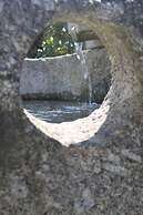 Propriedade do Pires