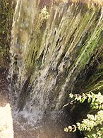 Propriedade do Pires