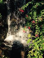 Propriedade do Pires