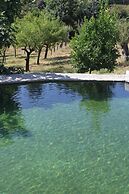 Propriedade do Pires