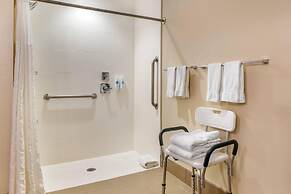 Comfort Suites Florence - Cincinnati South