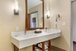 Comfort Suites Florence - Cincinnati South