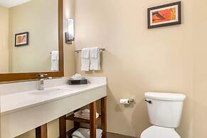 Comfort Suites Florence - Cincinnati South