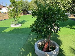 VISITAR BIOUCAS I - Casa Inteira Familiar e Grupo de Amigos