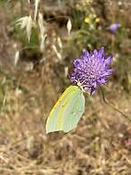 VISITAR BIOUCAS I - Casa Inteira Familiar e Grupo de Amigos