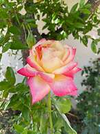 VISITAR BIOUCAS I - Casa Inteira Familiar e Grupo de Amigos