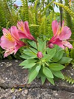 VISITAR BIOUCAS I - Casa Inteira Familiar e Grupo de Amigos