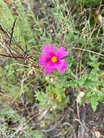 VISITAR BIOUCAS I - Casa Inteira Familiar e Grupo de Amigos