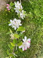 VISITAR BIOUCAS I - Casa Inteira Familiar e Grupo de Amigos