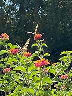 VISITAR BIOUCAS I - Casa Inteira Familiar e Grupo de Amigos