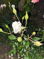 VISITAR BIOUCAS I - Casa Inteira Familiar e Grupo de Amigos