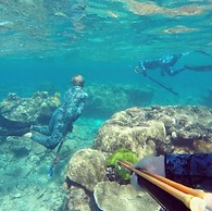 Kurrmine Beach Motel