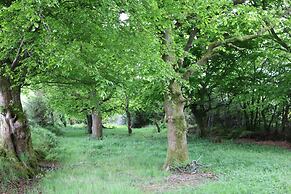 Five Oaks Bed & Breakfast