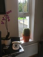 Five Oaks Bed & Breakfast