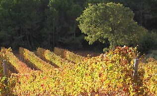 Vilosell Wine Hotel