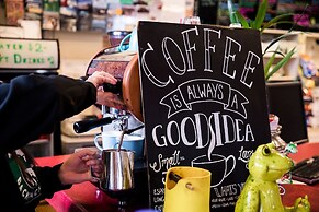 The Pickled Frog - Hostel