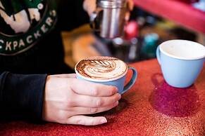 The Pickled Frog - Hostel